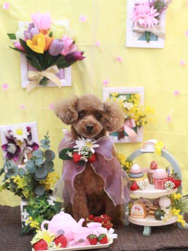 20230312ココアくん